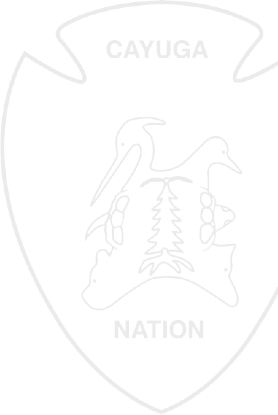 Cayuga nation badge