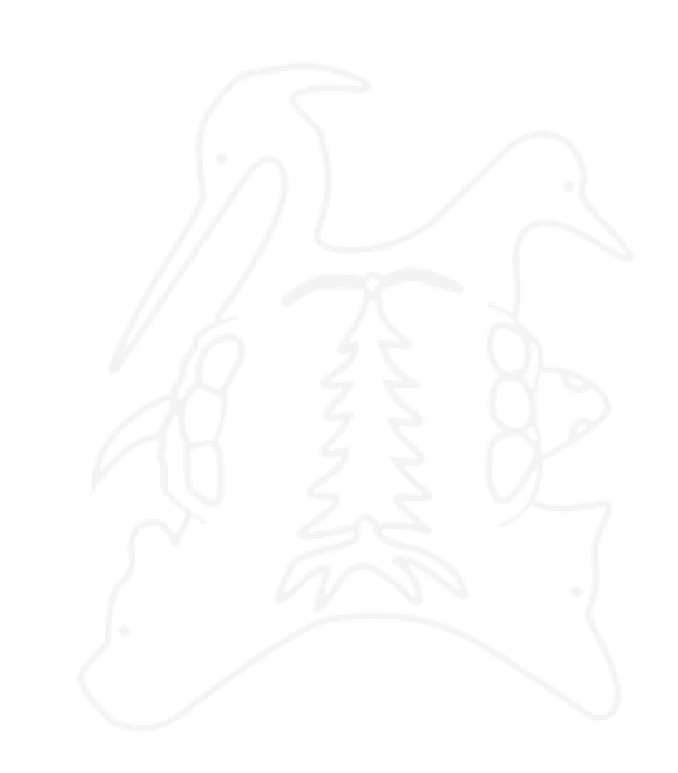 Cayuga nation clans symbol