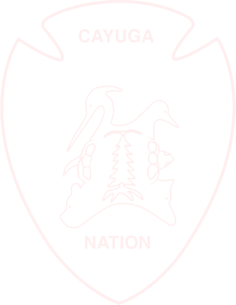 Cayuga nation badge