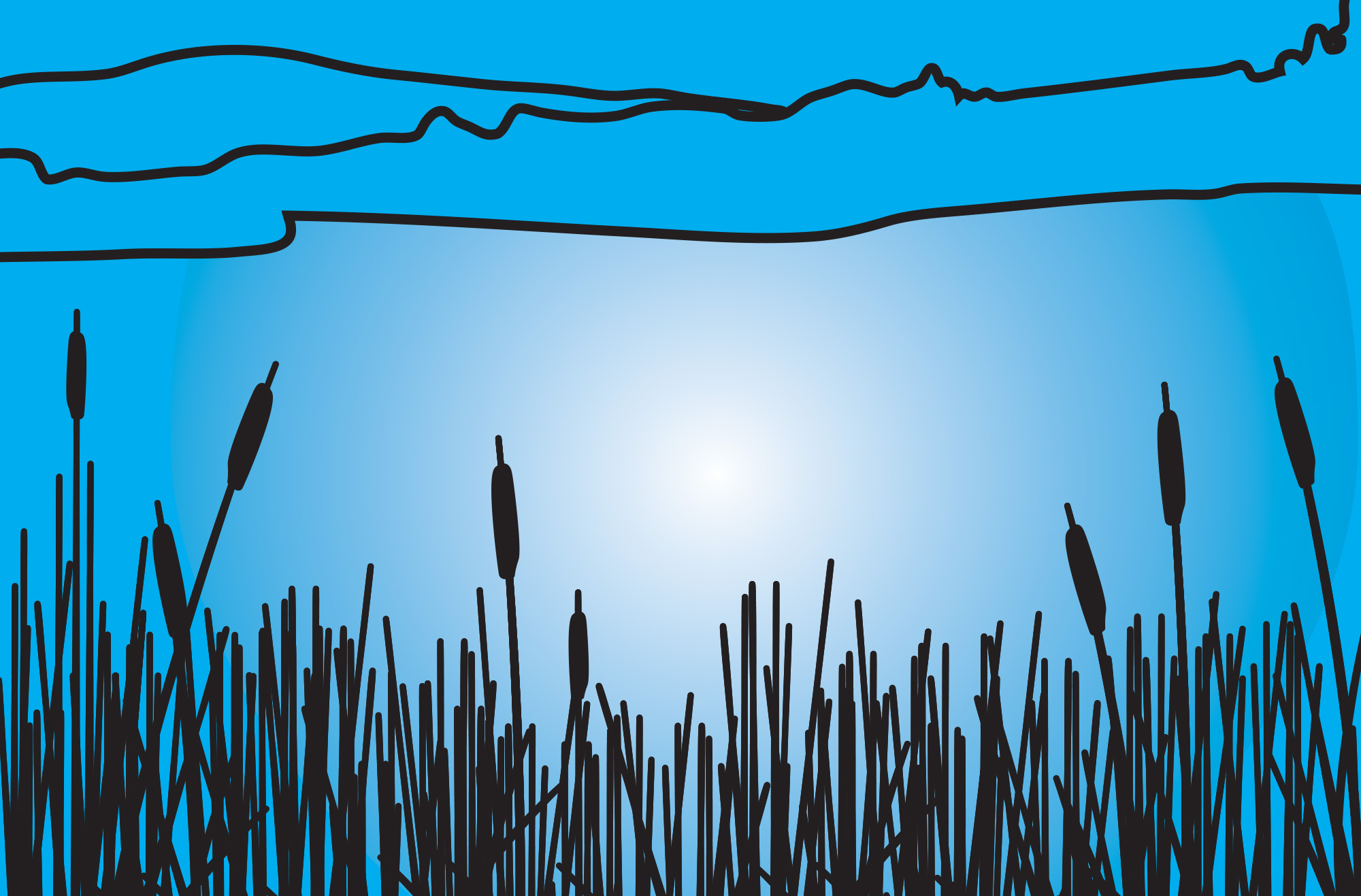 Great Swamp Enterprises 2