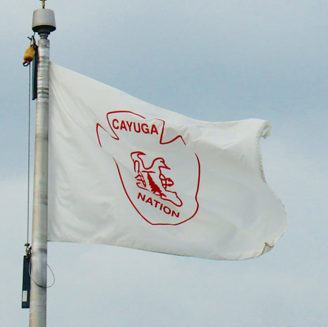 Cayuga Nation Flag