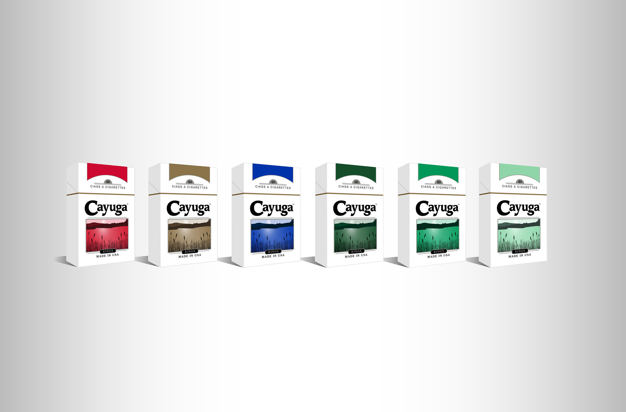 Great Swamp Enterprises 1